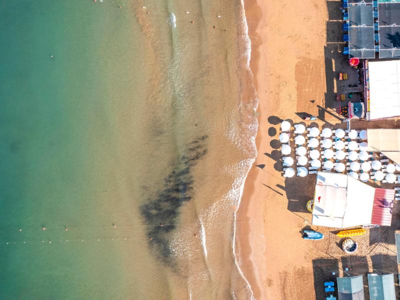 Calyptus Kirman Premium