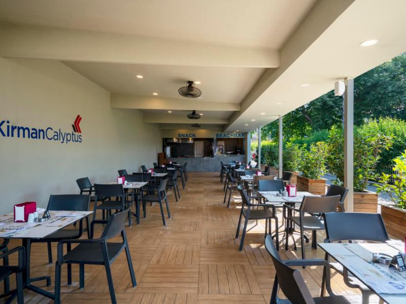 Calyptus Kirman Premium