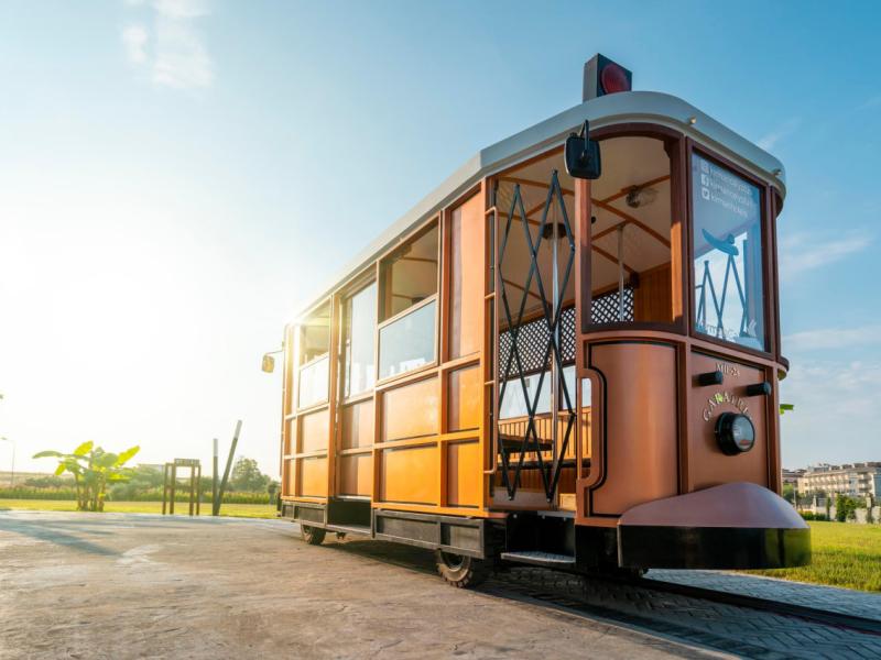 Calyptus Kirman Premium