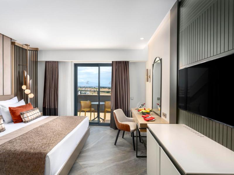 Calyptus Kirman Premium