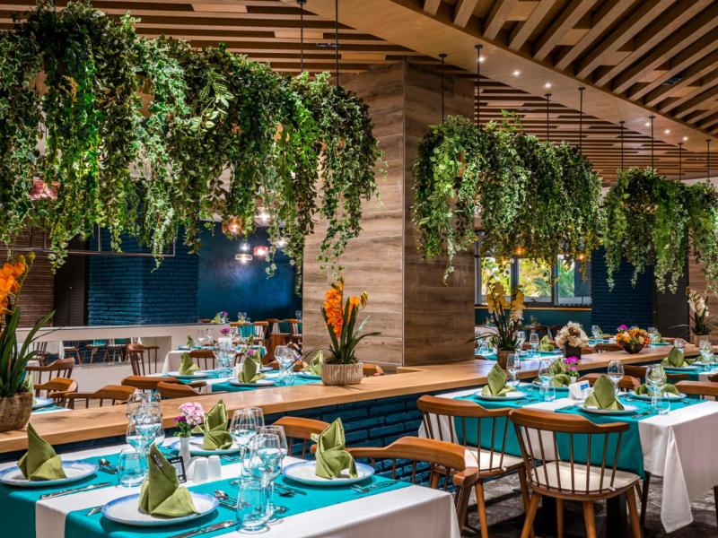 Calyptus Kirman Premium