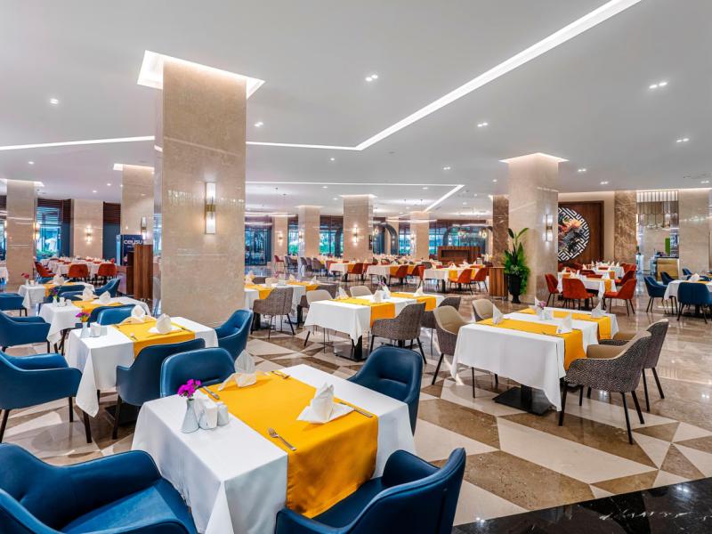 Calyptus Kirman Premium