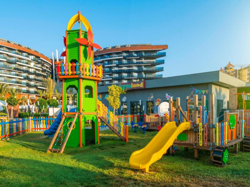 Calyptus Kirman Premium