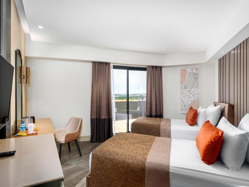 Calyptus Kirman Premium