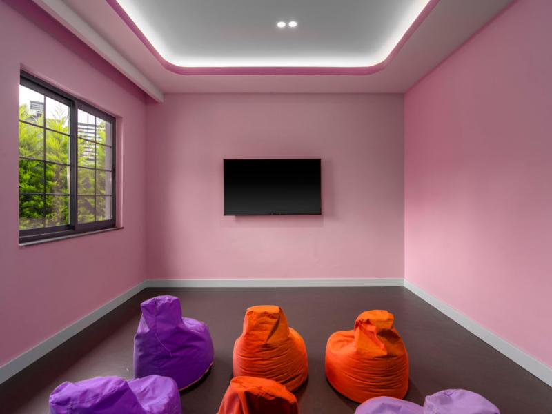 Calyptus Kirman Premium