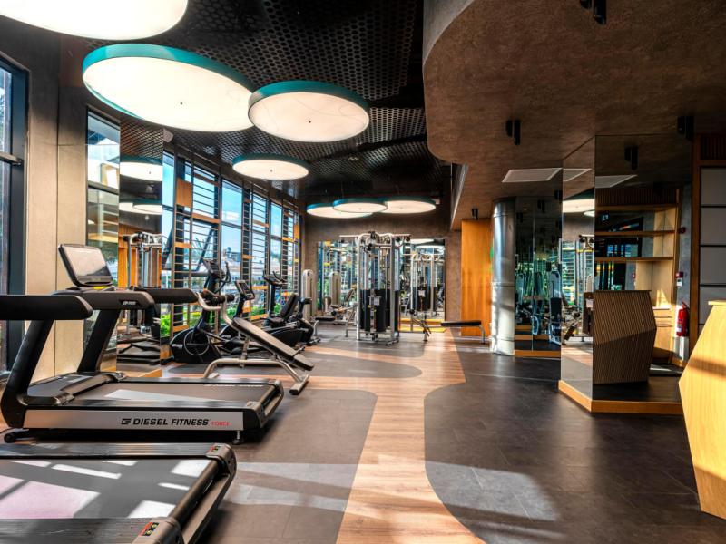 Calyptus Kirman Premium