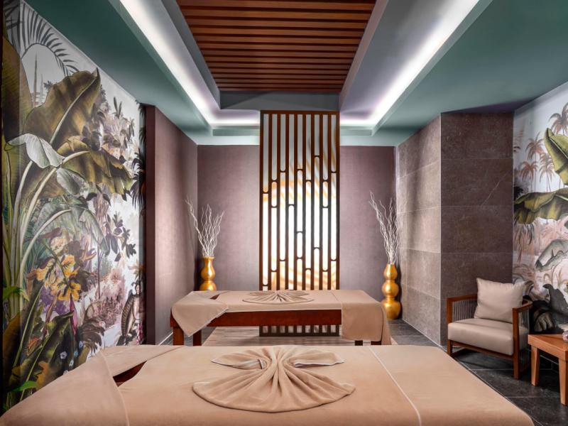 Calyptus Kirman Premium