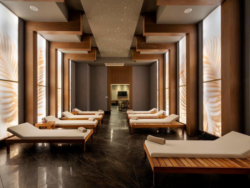 Calyptus Kirman Premium