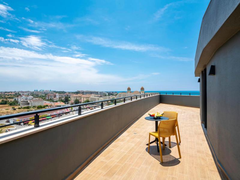 Calyptus Kirman Premium