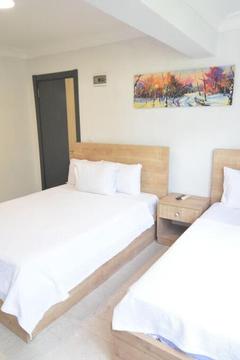 Отель Ados Hotel Турция, Чешме, фото 3