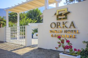 Отель Orka World Hotel & Aqua Park Турция, Олюдениз, фото 45