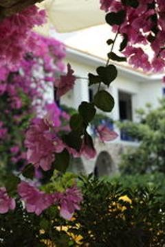 Отель La Salvia Hotel Турция, Каш, фото 24