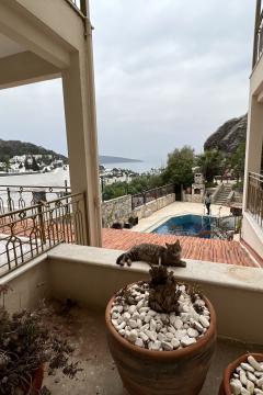Отель Aegean Gate Hotel Турция, Бодрум, фото 21
