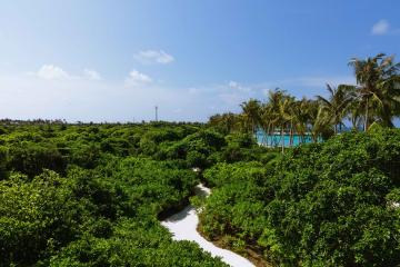 Отель Siyam World Maldives Мальдивы, Нону Атолл, фото 37