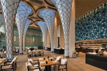 Отель Radisson Blu Resort Cam Ranh Вьетнам, Камрань, фото 82