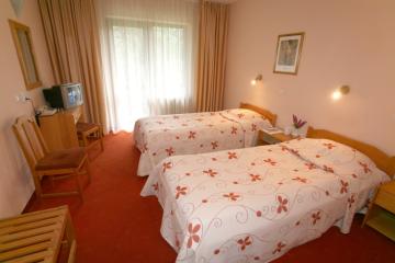 Отель Edelweiss Болгария, Боровец, фото 8