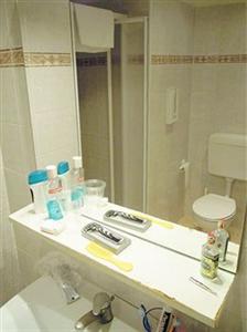 Edelweiss Stella Alpina