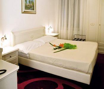 Edelweiss Stella Alpina