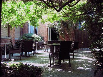 Edelweiss Stella Alpina