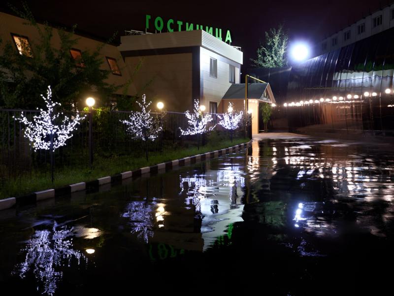 Клевер