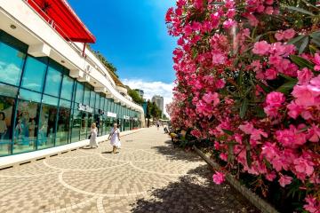 Отель Sharden Апарт-отель Россия, Сочи, фото 6