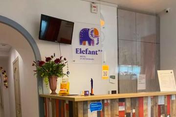 Отель Elefant Hotel Россия, Санкт-Петербург, фото 2
