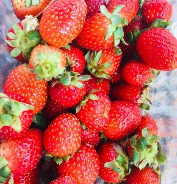 Suvari Boutique Hotel