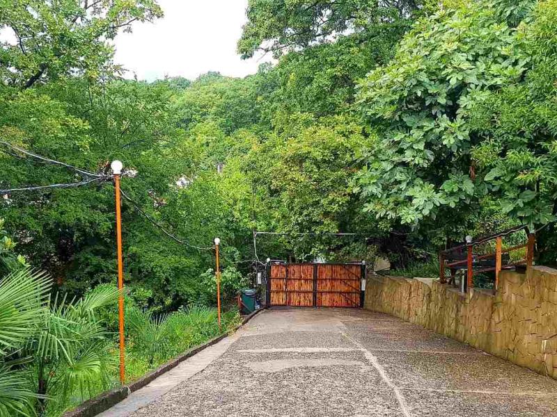 Оранжевое Солнце