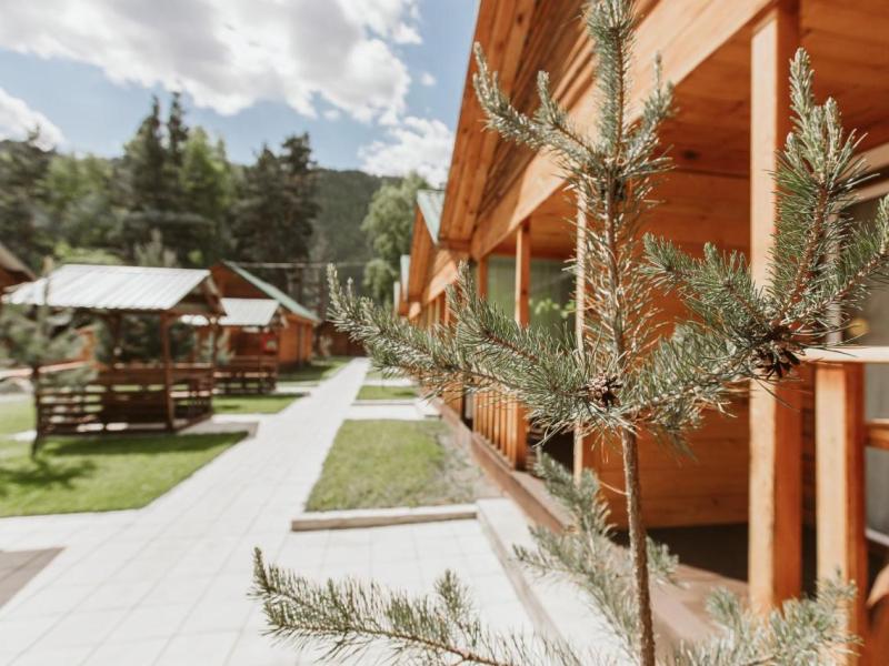 Алтай Берег