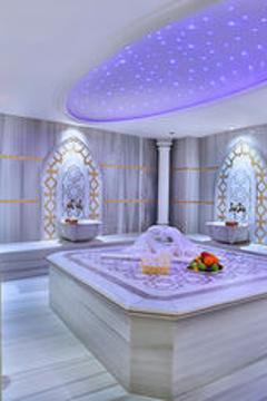 Отель Emirhan Palace Турция, Стамбул, фото 60