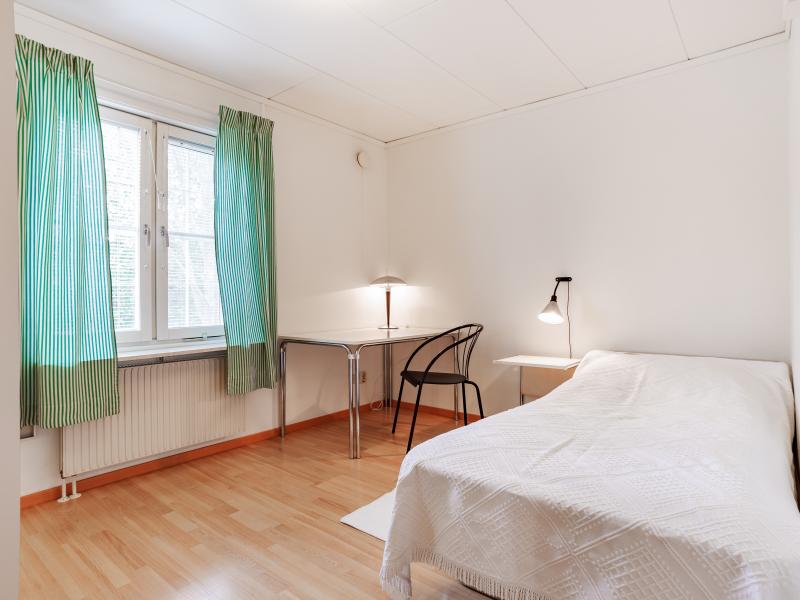 Шведская Деревня