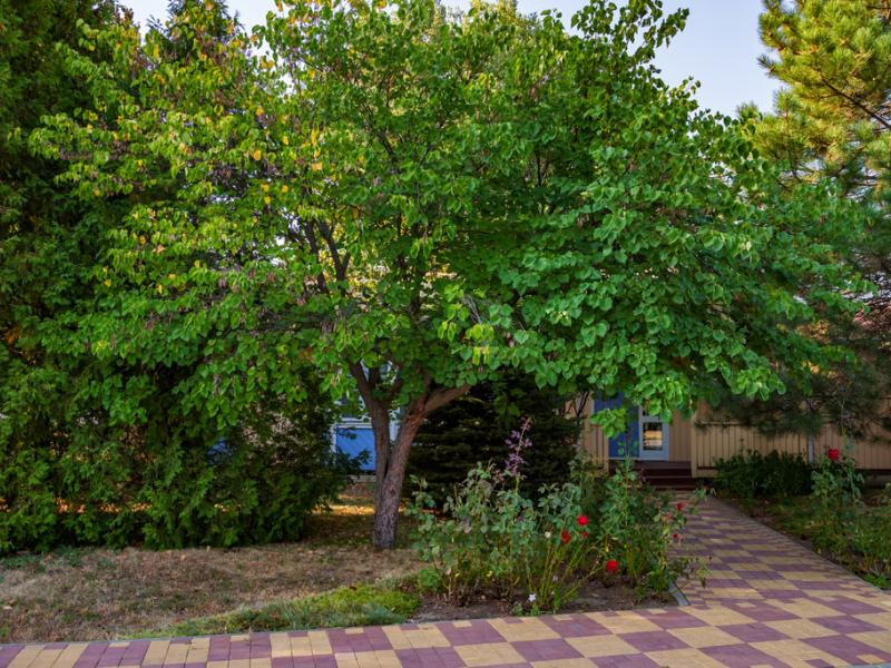 Шведская Деревня