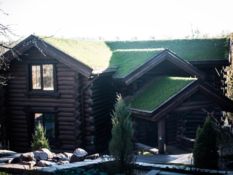Log House