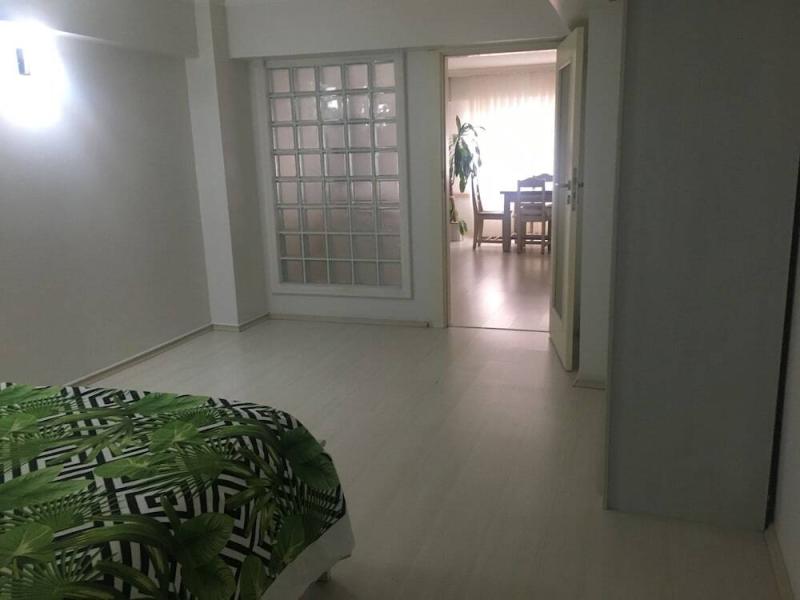IQ Houses Mis