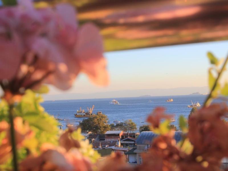 Sayeban Hotel