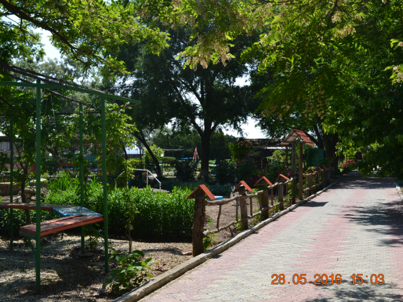 Фламинго (Межводное)