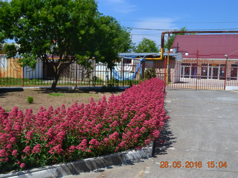 Фламинго (Межводное)