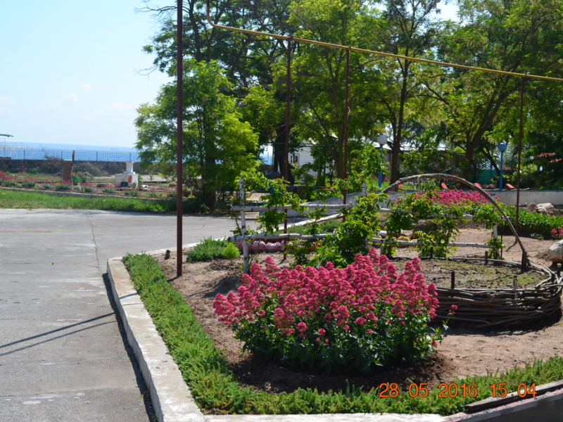 Фламинго (Межводное)