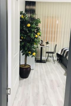 Отель Istanbul Hotel & Suites Турция, Стамбул, фото 1