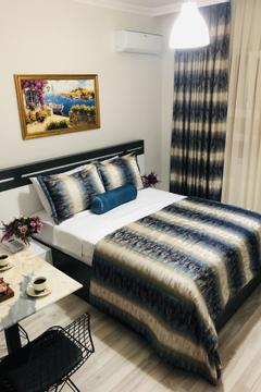 Отель Istanbul Hotel & Suites Турция, Стамбул, фото 24