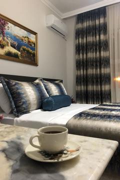Отель Istanbul Hotel & Suites Турция, Стамбул, фото 26