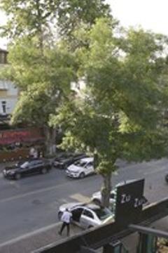 Отель Florya House Hotel Турция, Стамбул, фото 12