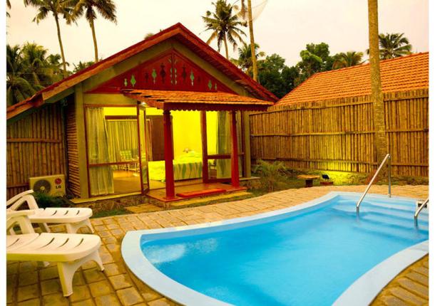 Abad Whispering Palm