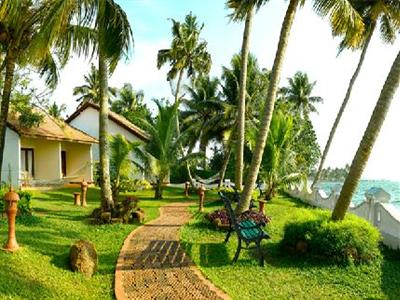 Abad Whispering Palm