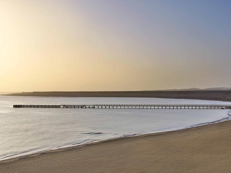 Jaz Costa Mares (16+)