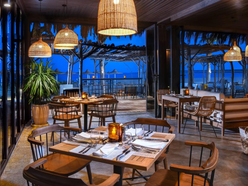 Jaz Costa Mares (16+)