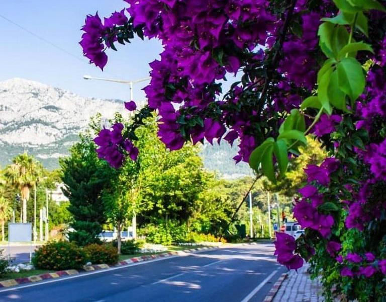 Green Valley Boutique Hotel