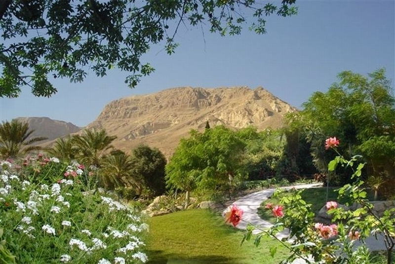 Ein Gedi Resort