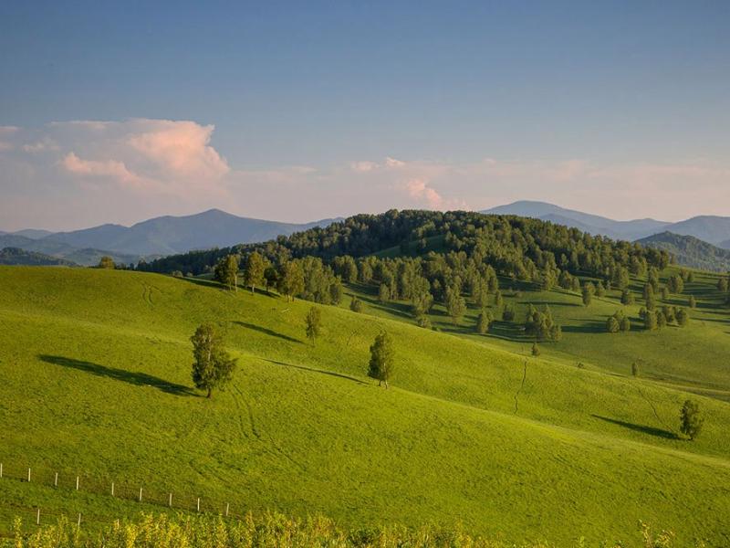 Маральник Никольское