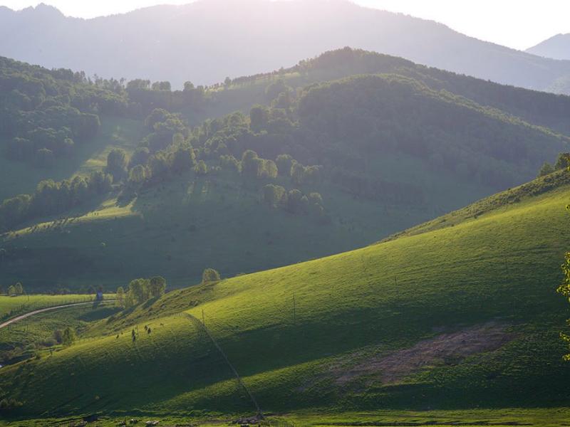 Маральник Никольское